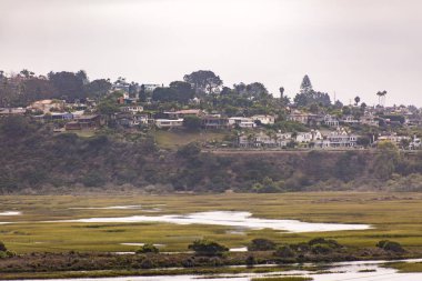 Homes near the lagoon clipart