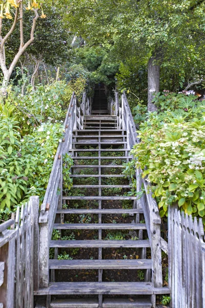 Escaleras de madera exuberante san fran — Foto de Stock