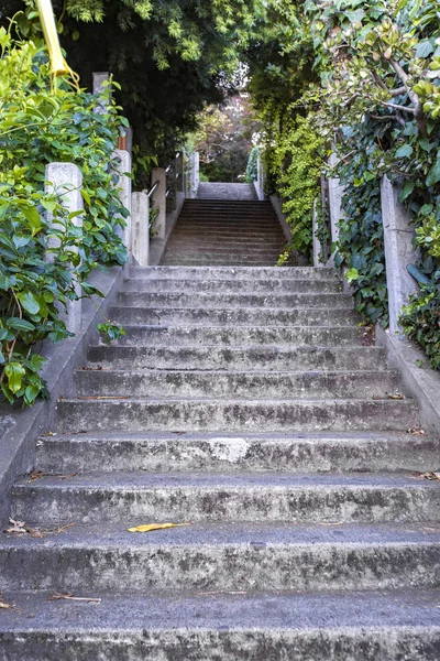 Uzun merdiven San Francisco — Stok fotoğraf