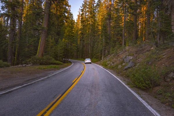 Yosemite vedlejší silnice — Stock fotografie