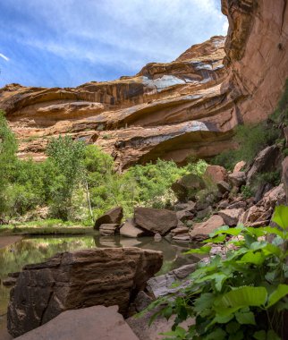 Yeşil ve gölet Moab Utah keşif hiking