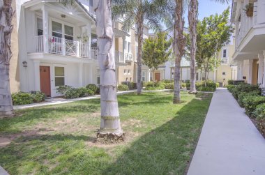 Palmiye ağaçları ile daire