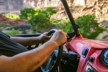 Eller direksiyona önünde lushious bitki örtüsü