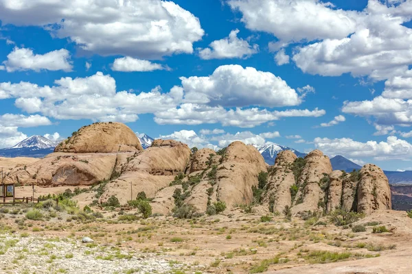 Oblé kopce s listy před La Sal Mountians — Stock fotografie