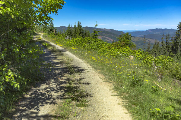 A dirt road for cars meanders along a mountain meadow on a sunny