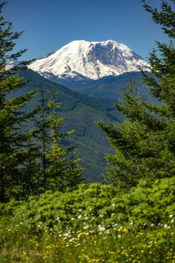 Mt. Rainier Washington State Park sayısı tepe 
