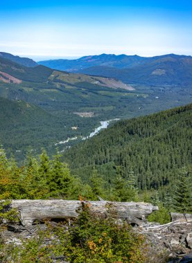 Bir nehrin mt. Rainier Washington Devlet bölümü görünümleri