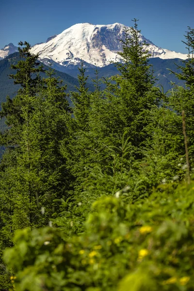 Mt. Rainier Washington State Park sayısı tepe