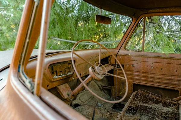 Forest Relic Old Car enferrujando na floresta olhando para dentro — Fotografia de Stock