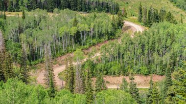 Sezon dışında Park City kayak merkezinde yeşil kozalaklı ağaçların arasında Panorama Viraj Yürüyüşü patikaları