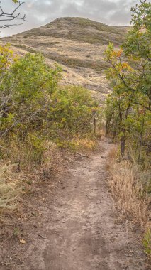 Dikey çerçeve Çamur yürüyüş yolu Orman ve fırça