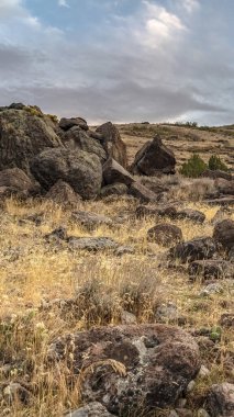 Dikey çerçeve kaya boyunca yürüyüş izleri yayılmış çayırlarda kayalar