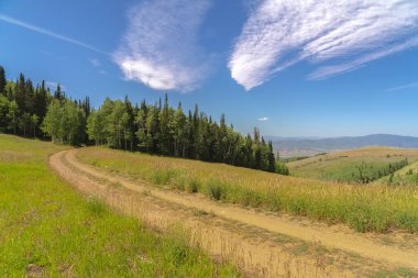 Sezon dışında Park City 'de mavi gökyüzüne karşı yürüyüş yolları ve yemyeşil ağaçlar.