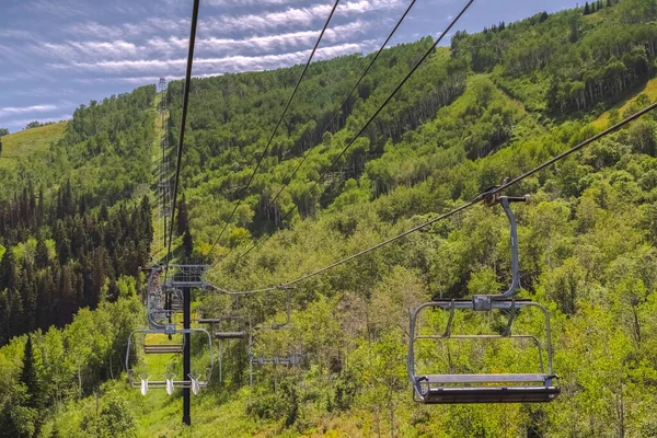 Saftig grüne Bäume auf einem Berg mit Wanderwegen und Sesselliften in der Nebensaison — Stockfoto