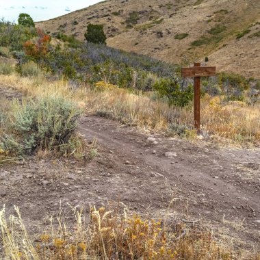 Utah 'ta bir yürüyüş parkurunda Kare Tabela