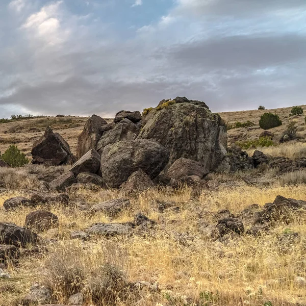 Quadrado Caminhadas trilha através de pedras prados espalhados com pedras — Fotografia de Stock