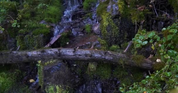 Ein Baumstamm liegt über den Felsen eines kleinen Wasserfalls abseits des Weges in utah — Stockvideo