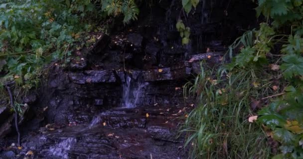 Rocas biseladas con agua salpicando desde una cascada en medio de un denso bosque — Vídeo de stock