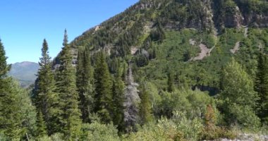 Utah 'ta Timpanogos Dağı zirvesine giden yemyeşil bir vadide yavaş bir tava.