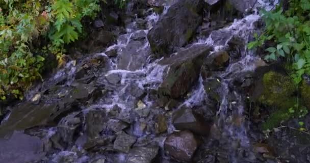 Raue Felsen eines Wasserfalls, der in einem Wald des utah-Tals auftaucht — Stockvideo