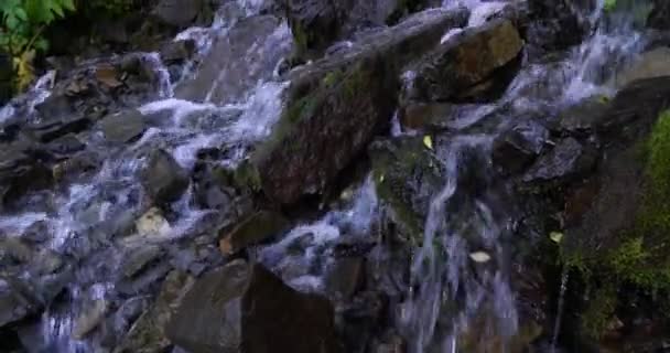 Powolna pionowa patelnia szybkiej wody spływającej w dół między szorstkimi skałami na skalistym terenie w lesie Utah Valley — Wideo stockowe