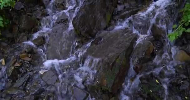 Agua apresurada de un arroyo que fluye cuesta abajo entre grandes rocas dentadas en medio del follaje forestal en Utah Valley — Vídeo de stock