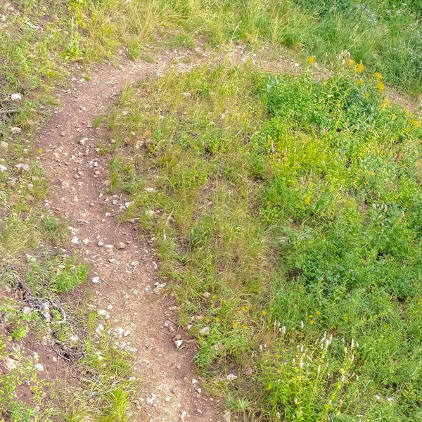 Square Close up of a dirt trail in the mountain of Park City Utah on a sunny summer day — Stock fotografie