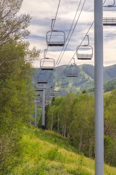 Cadeiras levanta árvores vibrantes e plantas com vista para a montanha e o céu no verão — Fotografia de Stock