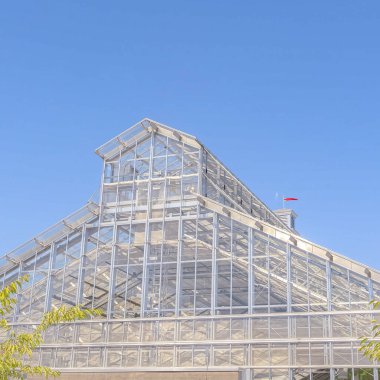 Kare çerçeve Mavi gökyüzüne karşı cam panellerden yapılmış bir seranın dış yüzeyi