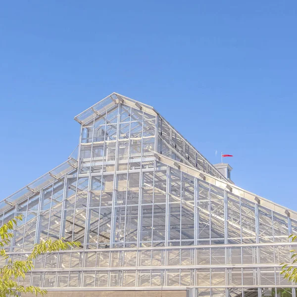 Square frame Exterior of a greenhouse with roof made of glass panels against blue sky — Stock Photo, Image