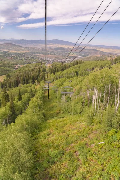 Groene bomen en grassen op een berg met stoeltjesliften op een bewolkte zomerdag — Stockfoto