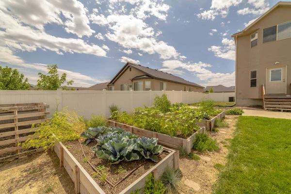 Soleado patio trasero de una casa con verduras y plantas en camas de jardín elevadas — Foto de Stock