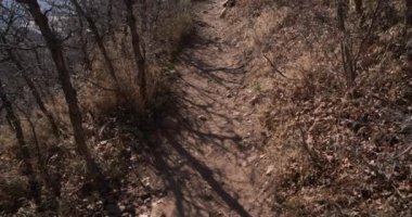 Salt Lake şehrinin tepelerindeki yürüyüş yolunun tepesinde.