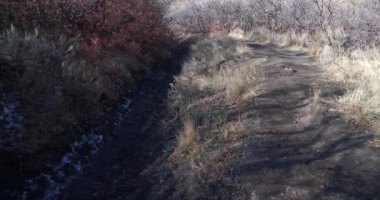 Salt Lake City tepelerindeki kurak yürüyüş yolunun gerçek bir parçası.
