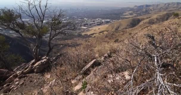 Arbustos áridos e outra vegetação com Salt Lake City abaixo da montanha no fundo — Vídeo de Stock