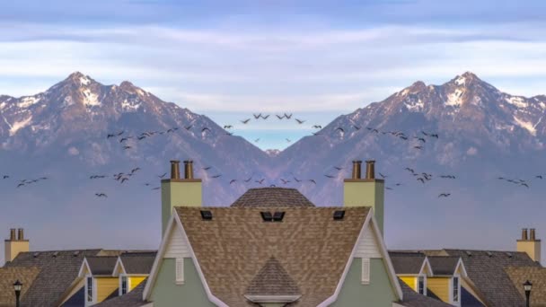 Conceptual remix of horizontal pans Homes and birds against Mount Timpanogos and sky — 비디오