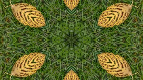 Remix conceptuel de feuilles dorées kaléidoscopiques avec des trous sur le sol herbeux 