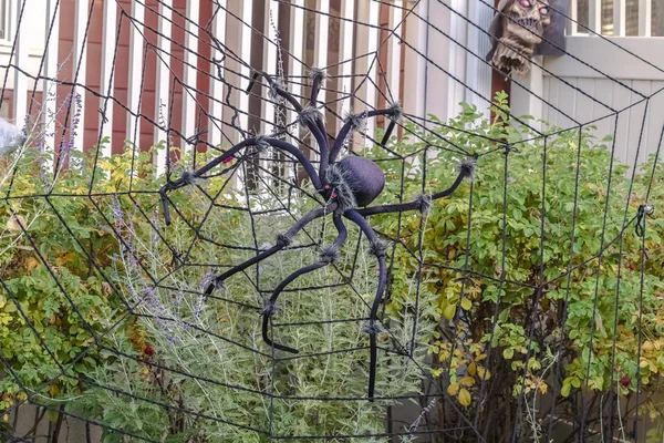 Decorazione del giardino di Halloween con ragno e web — Foto Stock