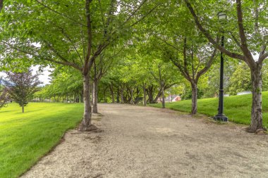 Bulutlu bir günde ağaçlar, banklar ve sokak lambalarıyla kaplı bir parkta.