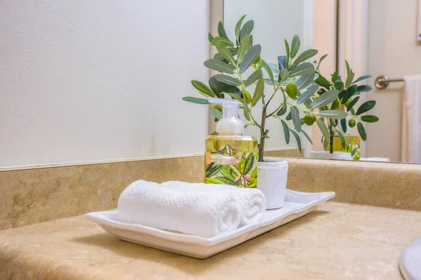 Tray with face towels hand soap and potted plant inside a clean bathroom