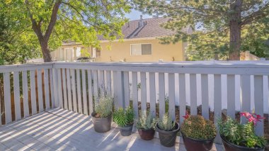 Panorama çerçevesi Bir balkonda saksı çiçek ve bitkiler sırası