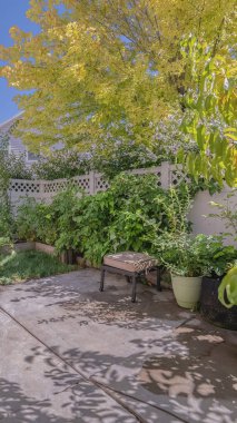 Dikey çerçeve Saksı bitkileri ile küçük özel arka bahçe