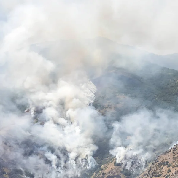 Square frame Nature landscape with puffs of white smoke rising from mountain forest fire — 스톡 사진