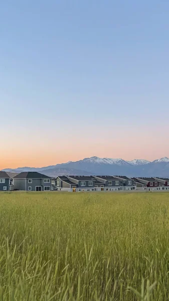 Verticale Vasto terreno con erbe verdi contro case montagna e cielo blu al tramonto — Foto Stock