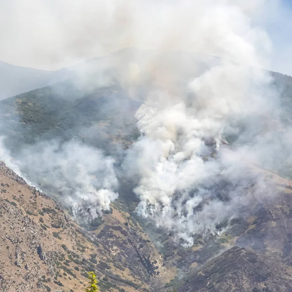 Paysage naturel carré avec des bouffées de fumée blanche provenant d'un feu de forêt de montagne — Photo