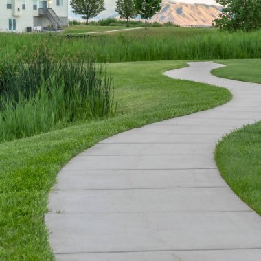 Kare çerçeve Dar asfaltlı patika Parktaki yemyeşil çimlerin arasında kıvrılıyor