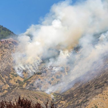 Kare çerçeve Dağ tepesi manzaralı bitki örtüsü ve mavi gökyüzüne karşı yoğun duman