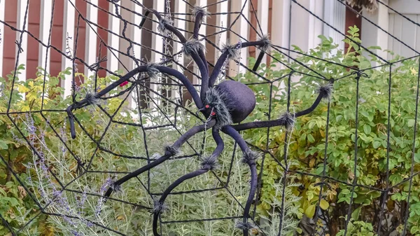 Panorama frame Halloween garden decoration with spider and web — Stock Photo, Image