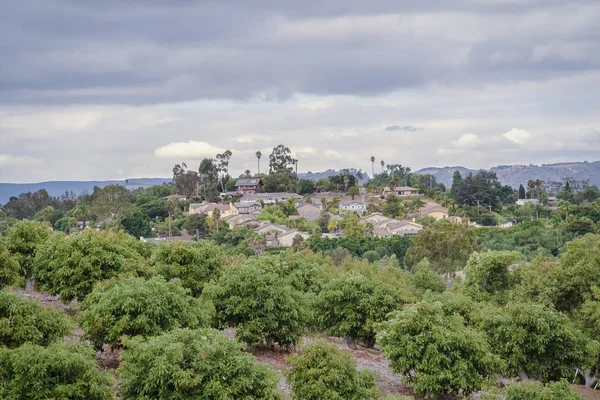 Grüne Büsche in Südkalifornien Tageslicht — Stockfoto