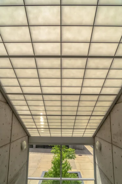 Slanted frosted glass roof over glass wall with view of trees and sunny outdoor